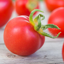 Load image into Gallery viewer, Tomato &#39;Alicante&#39; Seeds
