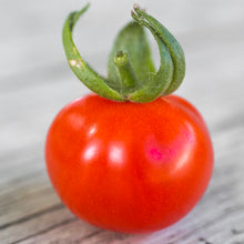 Load image into Gallery viewer, Tomato &#39;Gardeners Delight&#39; Seeds
