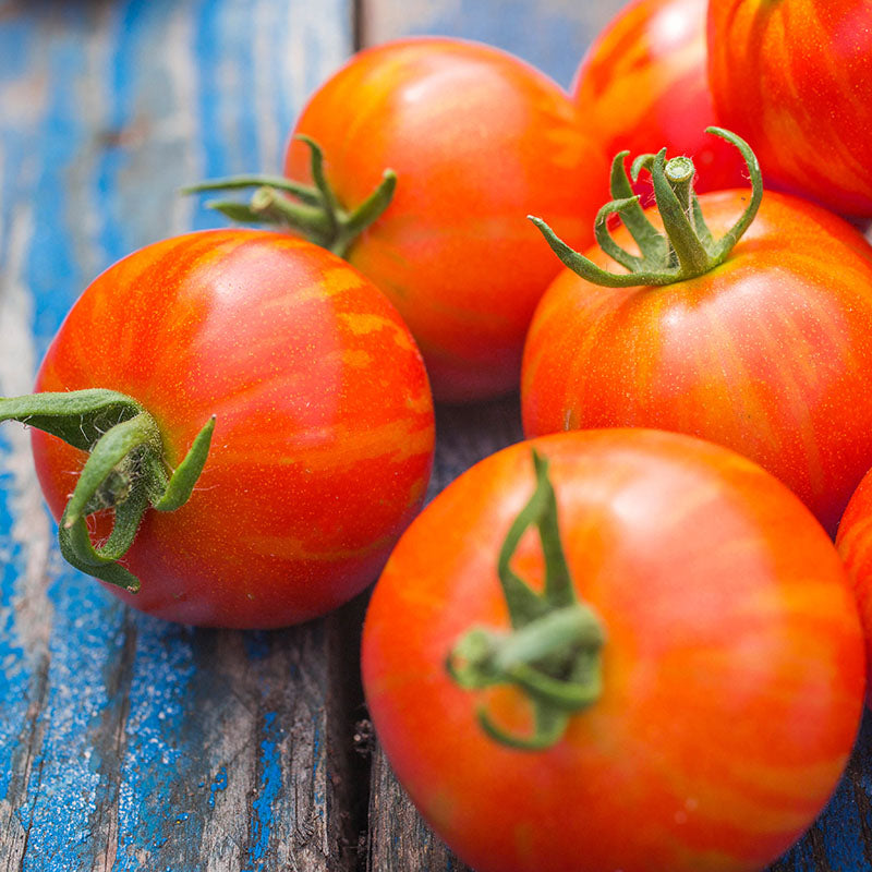 Tomato 'Tigerella' Seeds