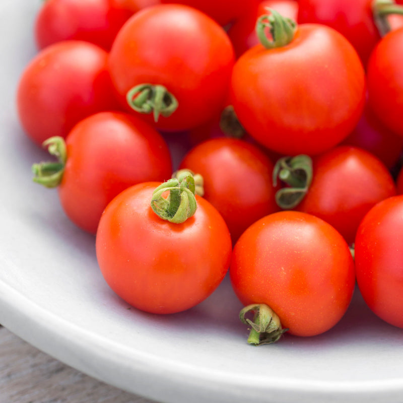 Tomato 'Tumbling Tom' Seeds